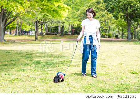 狗walk女人 狗walk女人 65122555