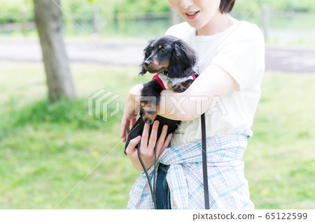 Dog walk woman 65122599