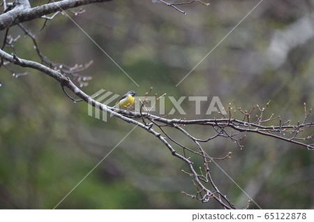 Kisekirei (Hokkaido, Shiretoko) Kisekirei (Hokkaido, Shiretoko) 65122878