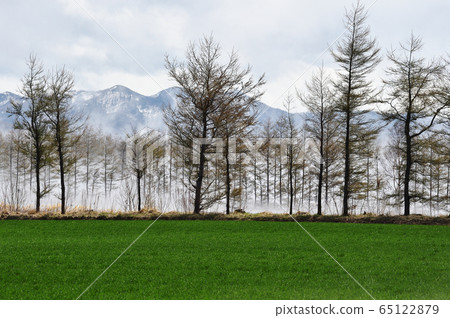 Ground fog in the Shiretoko region (Hokkaido) 65122879