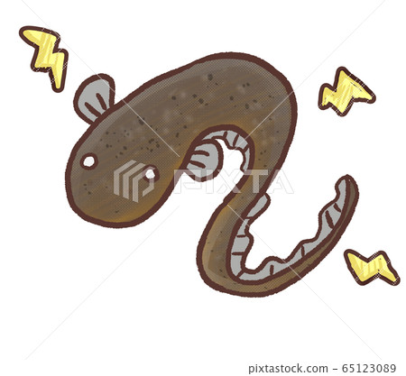 R: fairy tale Denki eel R: fairy tale Denki eel 65123089