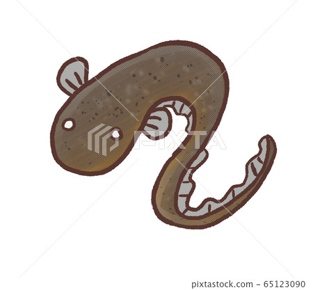R: fairy tale Denki eel R: fairy tale Denki eel 65123090