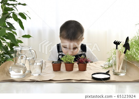 The child grows for greens. The boy bent down, 65123924