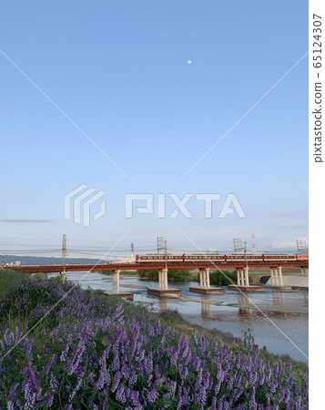 大和河標籤 65124307