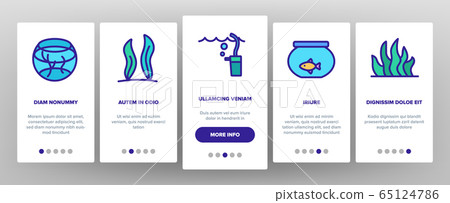 Aquarium Fish Decor Onboarding Icons Set Vector Aquarium Fish Decor Onboarding Icons Set Vector 65124786