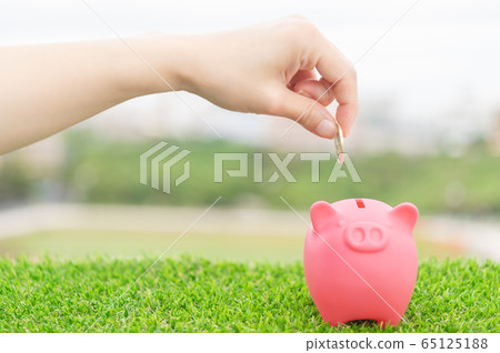 Put coins in the piggy bank Put coins in the piggy bank 65125188