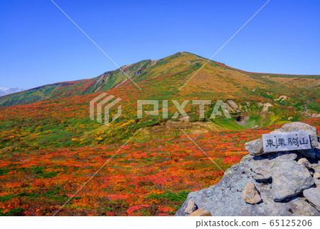 Mt. Kurikoma (Mt. Sugawa), one of the 100 famous mountains of flowers known for the most beautiful mountain autumn leaves in Japan Mt. Kurikoma (Mt. Sugawa), one of the 100 famous mountains of flowers known for the most beautiful mountain autumn leaves in Japan 65125206