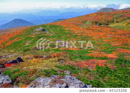 Mt. Kurikoma (Mt. Sugawa), one of the 100 famous mountains of flowers known for the most beautiful mountain autumn leaves in Japan 65125208
