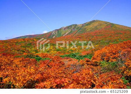 栗駒山(菅川山),百花名山之一,以日本最美麗的山地秋葉而聞名 栗駒山(菅川山),百花名山之一,以日本最美麗的山地秋葉而聞名 65125209