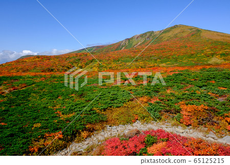 栗駒山（菅川山），百花名山之一，以日本最美麗的山地秋葉而聞名 65125215