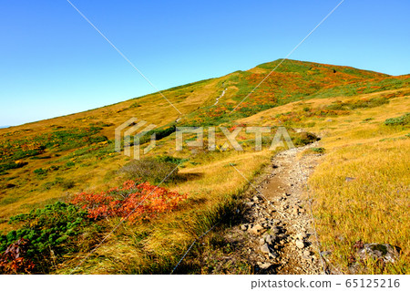 栗駒山（菅川山），百花名山之一，以日本最美麗的山地秋葉而聞名 65125216