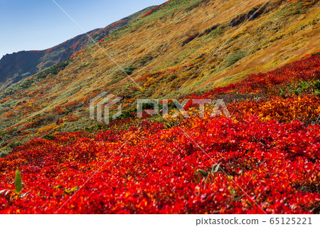 Mt. Kurikoma (Mt. Sugawa), one of the 100 famous mountains of flowers known for the most beautiful mountain autumn leaves in Japan 65125221