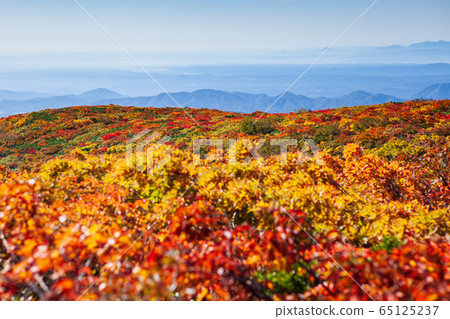 栗駒山（菅川山），百花名山之一，以日本最美麗的山地秋葉而聞名 65125237