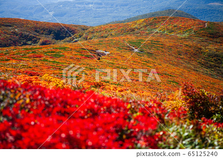栗駒山（菅川山），百花名山之一，以日本最美麗的山地秋葉而聞名 65125240