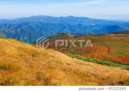 Mt. Kurikoma (Mt. Sugawa), one of the 100 famous mountains of flowers known for the most beautiful mountain autumn leaves in Japan 65125243