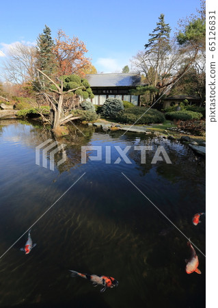 北海道帶廣真鍋花園 65126831