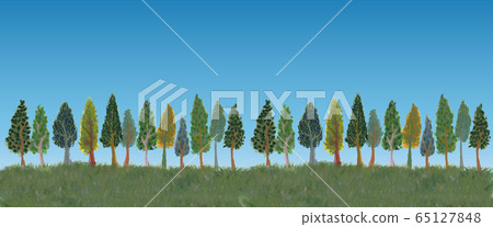 Horizon of trees 65127848