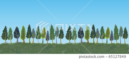 Horizon of trees 65127849