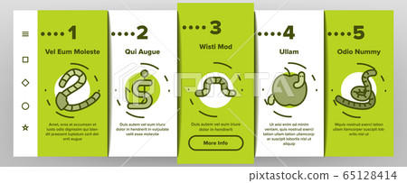Worm Insect Animal Onboarding Icons Set Vector Worm Insect Animal Onboarding Icons Set Vector 65128414