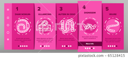 Worm Insect Animal Onboarding Icons Set Vector Worm Insect Animal Onboarding Icons Set Vector 65128415
