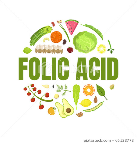 Folic Acid Banner Template, Healthy Vitamin Food, Products Containing Folic Acid of Round Shape Vector Illustration 65128778