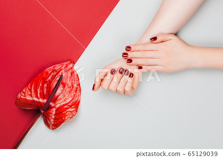 Red manicure with flower. 65129039