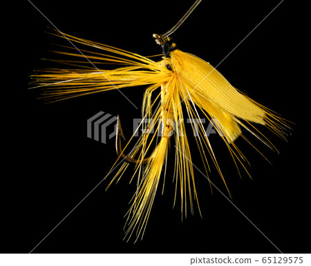 Feathers on the hook for fishing on a black 65129575