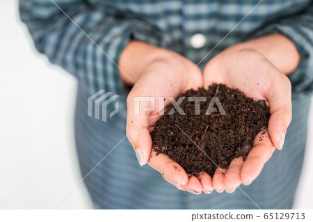 Close up hand of asian woman holding fertilizer Close up hand of asian woman holding fertilizer 65129713