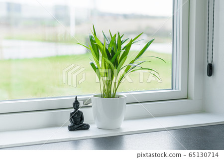 Green plant with a Buddha figure Green plant with a Buddha figure 65130714