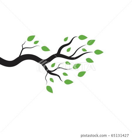 Tree branch vector ilustration design Tree branch vector ilustration design 65131427