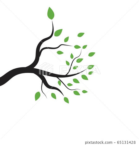 Tree branch vector ilustration design Tree branch vector ilustration design 65131428