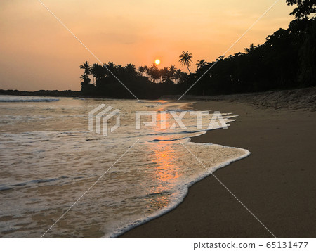 Sunset in Sri Lanka beach, Dikwella Sunset in Sri Lanka beach, Dikwella 65131477