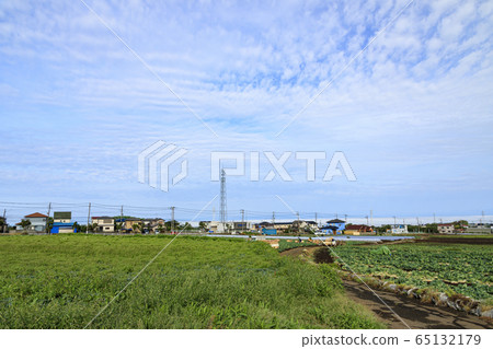 Field (spring) 65132179