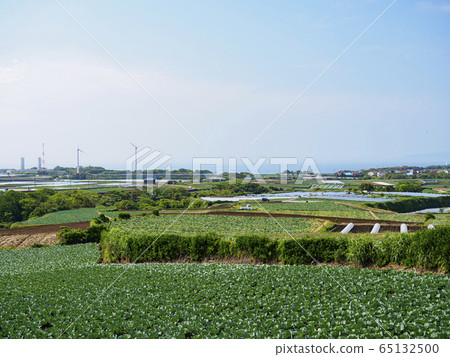 Field (spring) Field (spring) 65132500