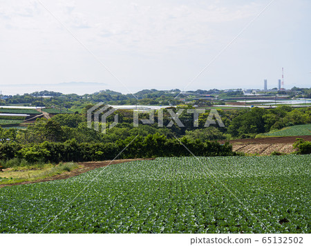 Field (spring) Field (spring) 65132502