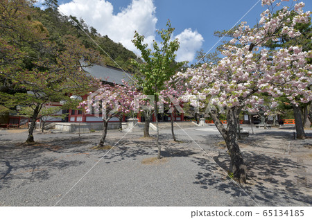 Kurama Temple in spring, Honden Kondo Kurama Temple in spring, Honden Kondo 65134185