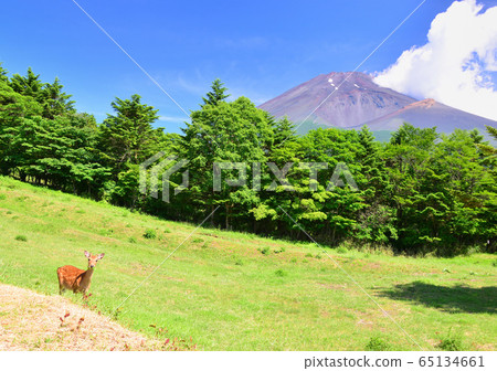 Summer landscape from Mizugatsuka-0753 Summer landscape from Mizugatsuka-0753 65134661
