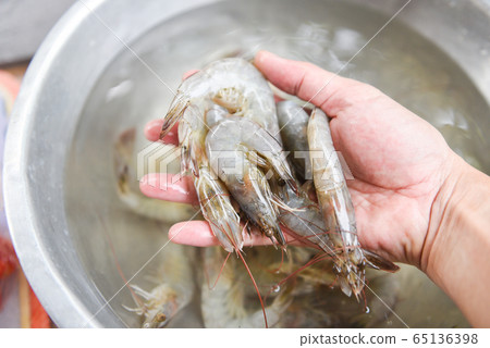raw shrimps prawns - fresh shrimp in hand for raw shrimps prawns - fresh shrimp in hand for 65136398