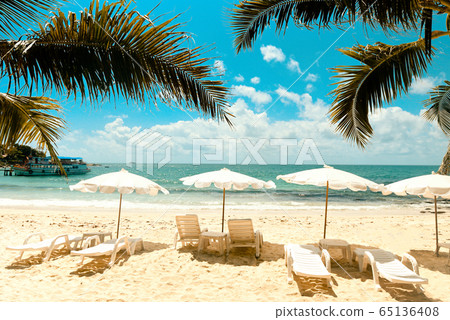 Tropical Holiday coconut leaf palm tree on the 65136408