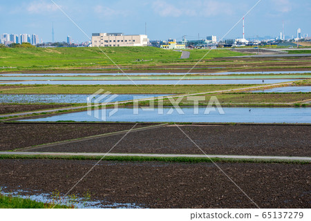 Yu玉市西尤馬農地，鄉村景觀 65137279