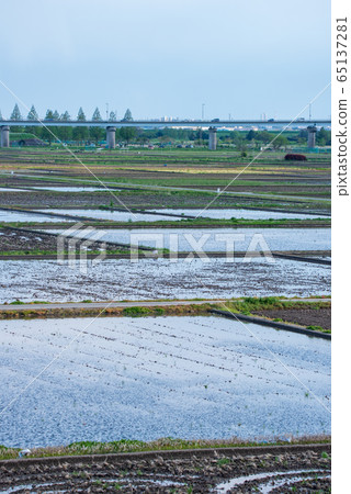 Nishi Yuma Agricultural Land, Rural Landscape Saitama City 65137281