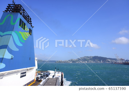 Wellington Wellington 65137390