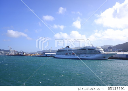 Wellington Wellington 65137391
