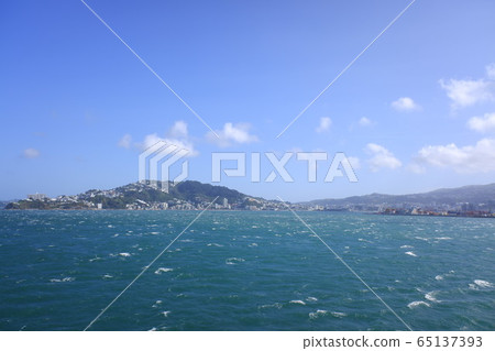 Wellington Wellington 65137393