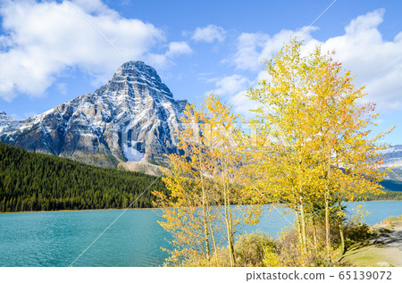 秋季加拿大落基山脈:黃水鳥湖和Cefren山(Waterfoul湖)(加拿大) 秋季加拿大落基山脈:黃水鳥湖和Cefren山(Waterfoul湖)(加拿大) 65139072