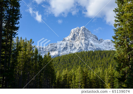 秋季加拿大落基山脈舍夫倫山(加拿大)在水禽湖上 秋季加拿大落基山脈舍夫倫山(加拿大)在水禽湖上 65139074