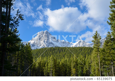秋季加拿大落基山脈舍夫倫山(加拿大)在水禽湖上 秋季加拿大落基山脈舍夫倫山(加拿大)在水禽湖上 65139075