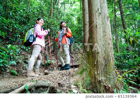 登山女孩徒步登山登山戶外徒步旅行 65139364