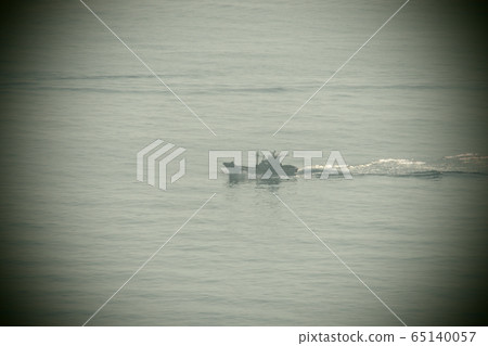 海 65140057