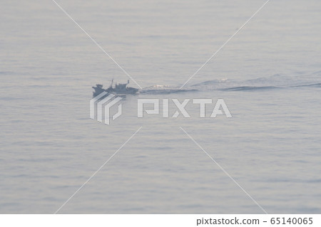 Sea 65140065